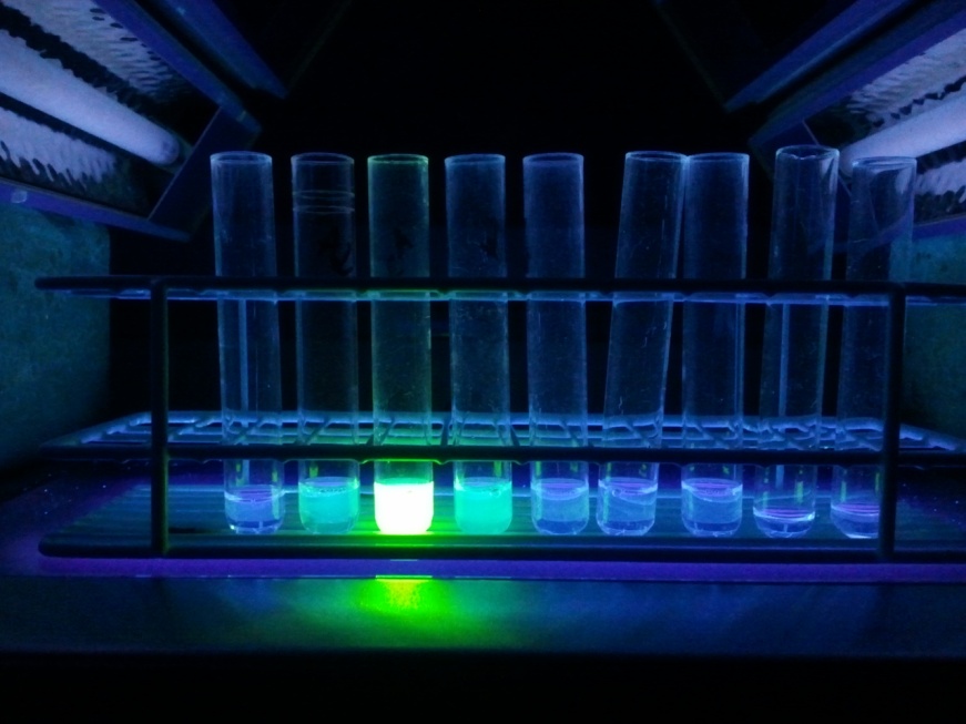 Purification of a GFP-tagged protein 
