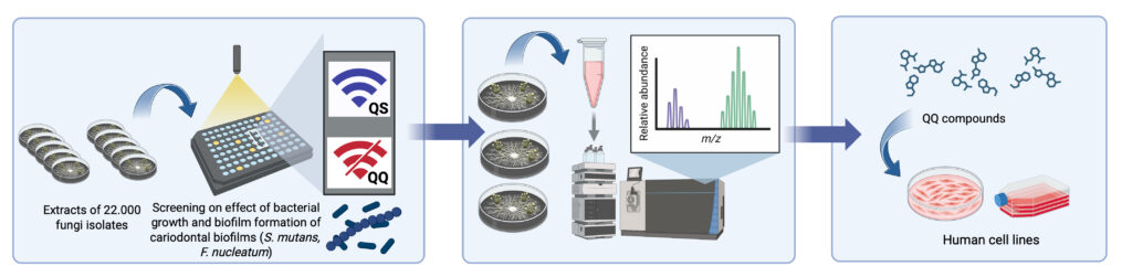Schematic experimental workflow of the CarioPlaQQ project